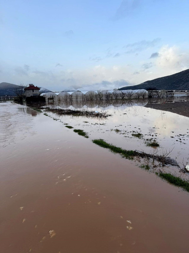 Turizm başkentimiz çamura battı; dereler taştı, seraslar ve meyve bahçeleri sular altında! - Resim: 2