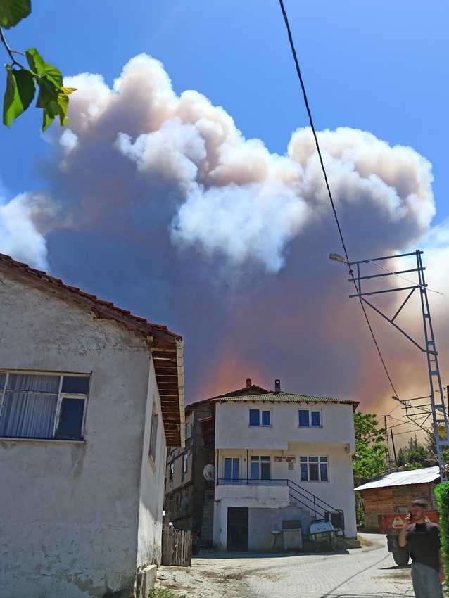 Önce Bursa şimdi de Sakarya... Alevlerin yaklaştığı 2 mahalle boşaltıldı - Resim: 1