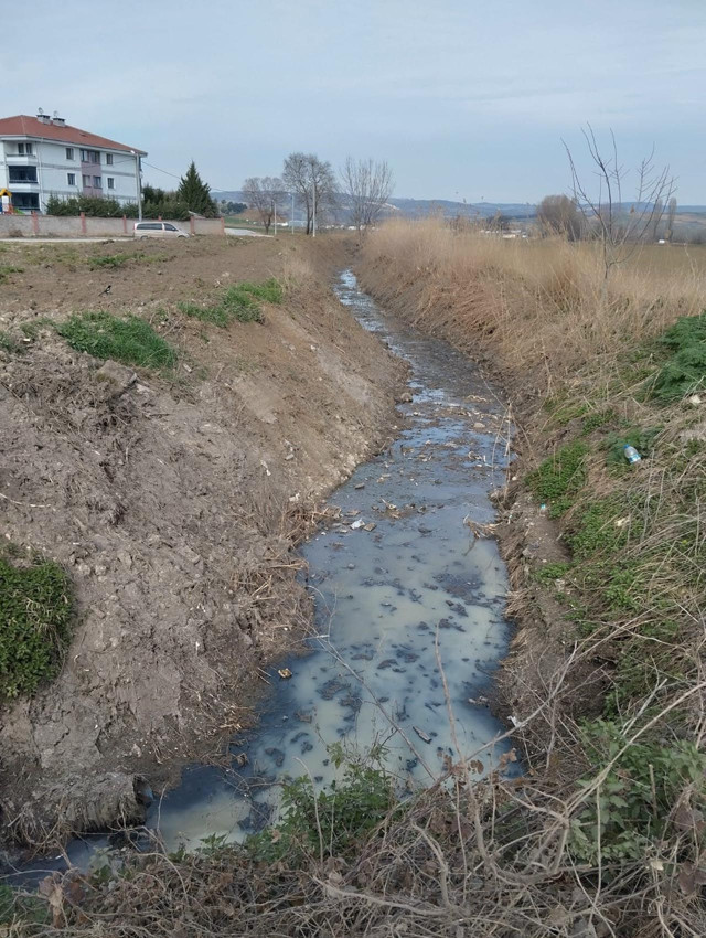 Dereye akan lağım suyu, mahalleliyi canından bezdirdi - Resim: 4