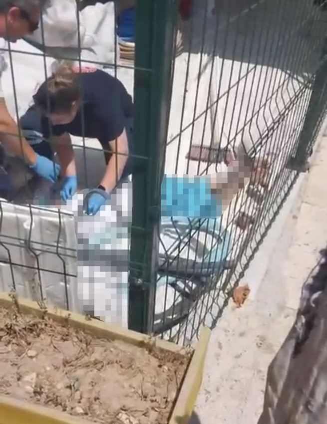 Yarı çıplak sokağa çıkan kadını polis eve gönderdi, sonrası korkunç! - Resim: 4