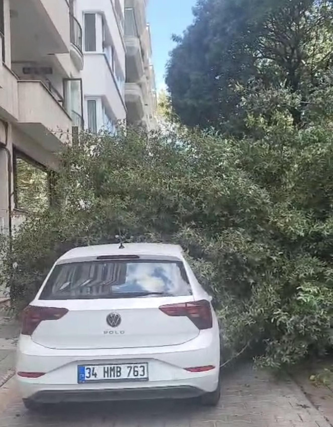 İstanbul'da otomobillerin üzerine ağaç devrildi - Resim: 1