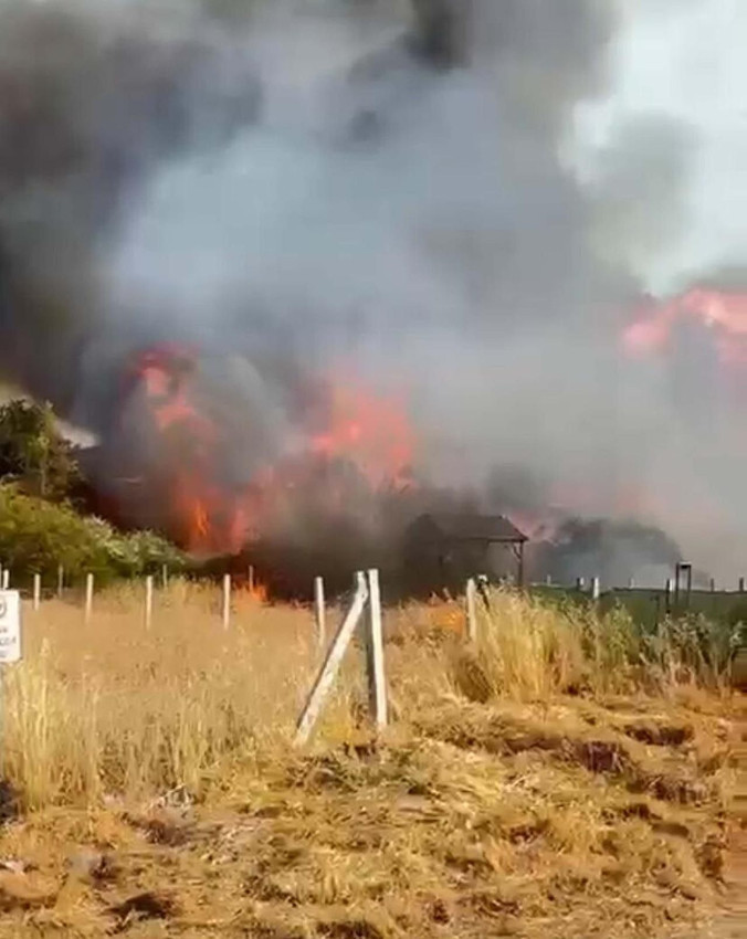 Tarım arazisinde çıkan yangın evlere sıçradı - Resim: 1
