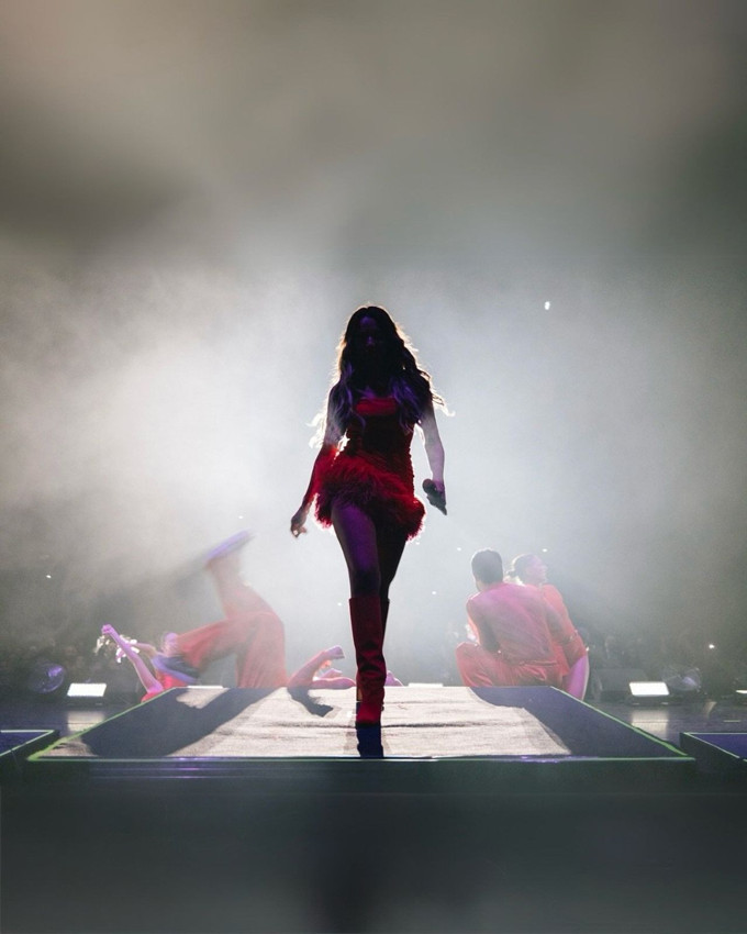 Hadise cesur kostümleri ve şovlarını eleştirenlere resti çekti - Resim: 4