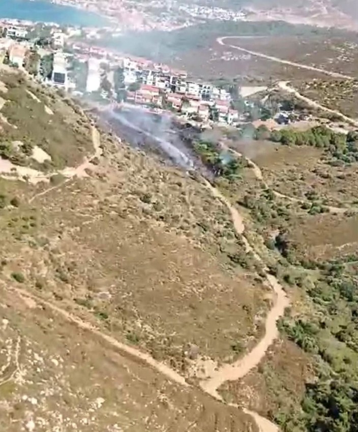 İzmir'de yanan araç ormanı yaktı - Resim: 3