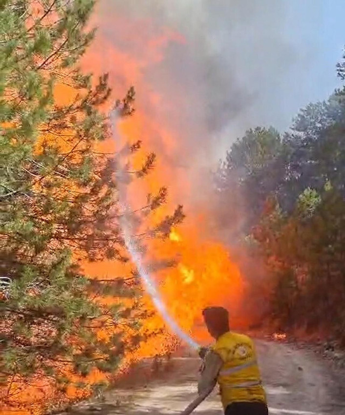 Aydın'da ormanlık alanda korkutan yangın - Resim: 3