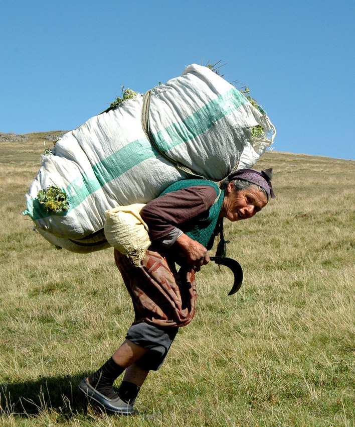 Türkiye'nin yeni sağlık sorunu nemin içinden çıktı... Adı çiftçi akciğeri - Resim: 2