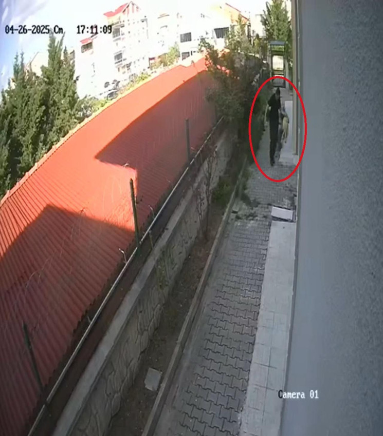 Sahiplenme bahanesiyle evine aldığı köpekleri öldürdüğü iddia eden şüphelinin ifadesi ortaya çıktı - Resim: 4