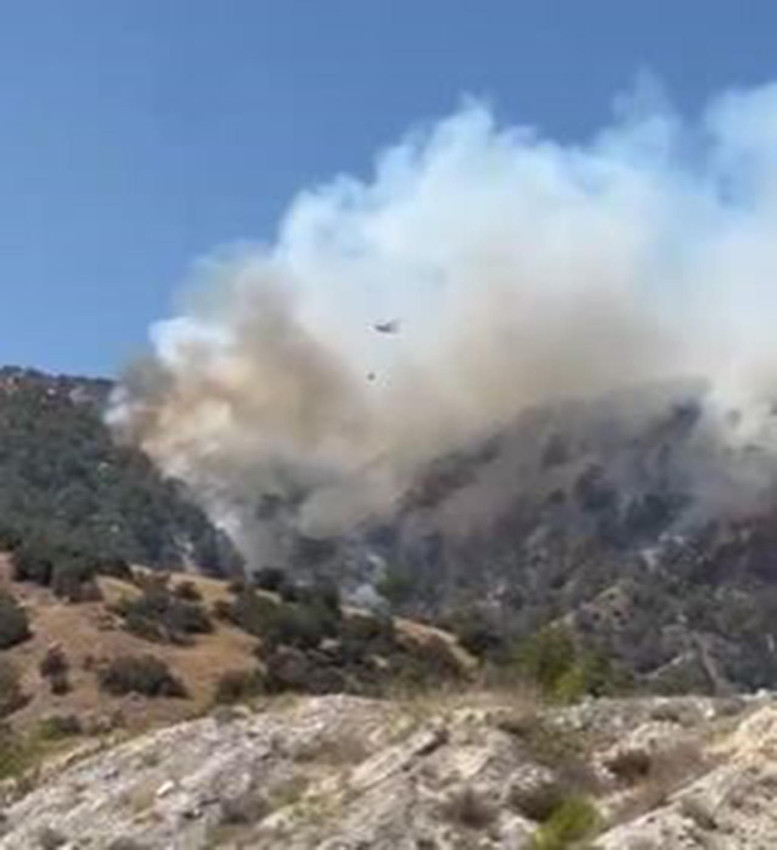 Denizli'de orman yangını - Resim: 1