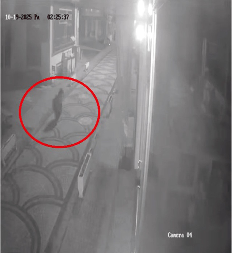 Aç kalan ayılar kış uykusu öncesi mahalleyi bastı - Resim: 1