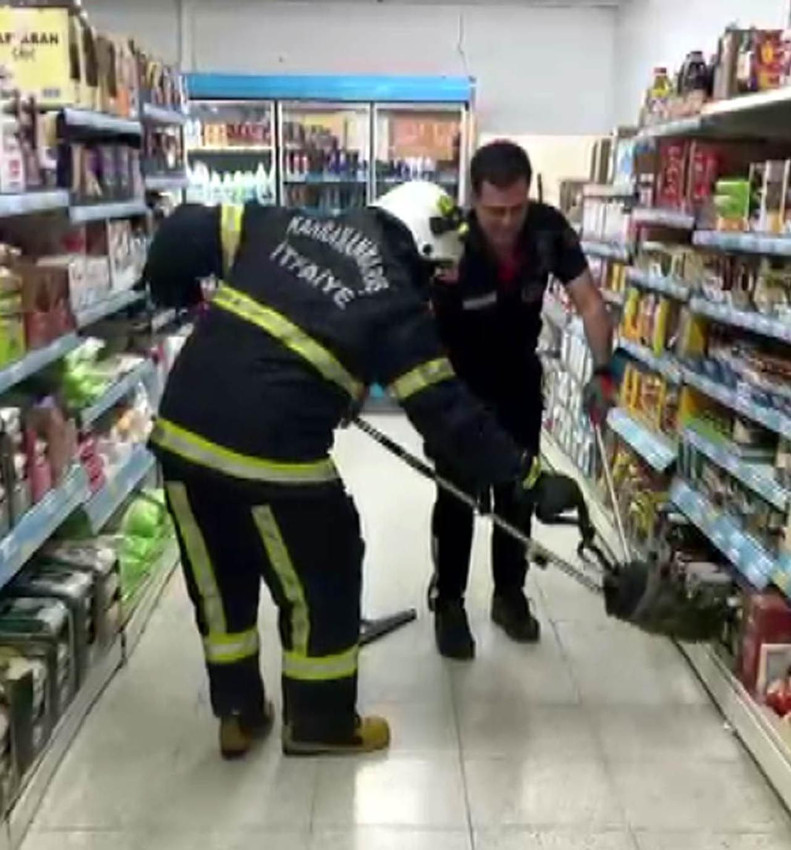 Markette büyük panik: Reyonların arasından yılan çıktı! - Resim: 2