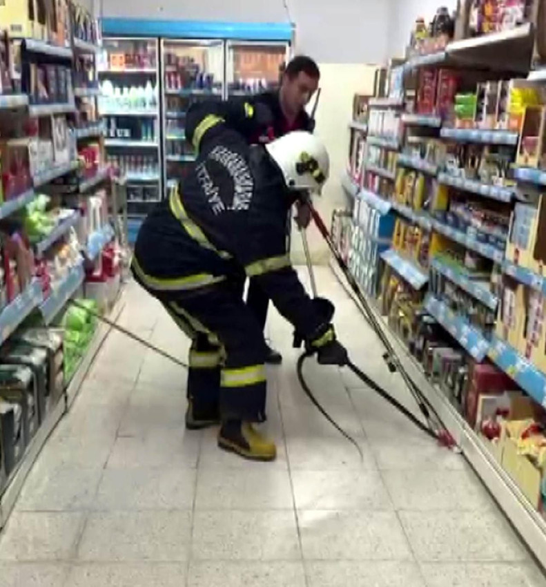 Markette büyük panik: Reyonların arasından yılan çıktı! - Resim: 3