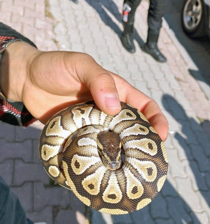 Konya'da inanılmaz olay! Polisin durdurduğu şahsın cebinden öyle bir şey çıktı ki... - Resim: 1