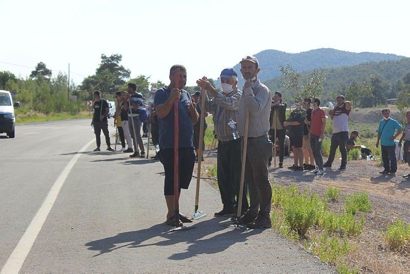 Antalya artık bildiğiniz Antalya değil... Kozalaklar şarapnel parçası gibi patlıyor! - Resim: 1