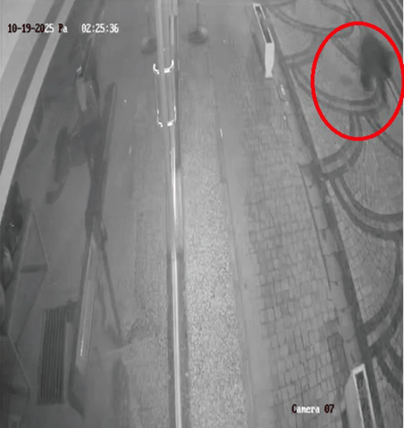 Aç kalan ayılar kış uykusu öncesi mahalleyi bastı - Resim: 2