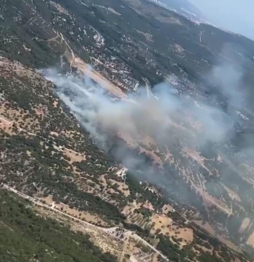 İzmir'de bir orman yangını daha - Resim: 2