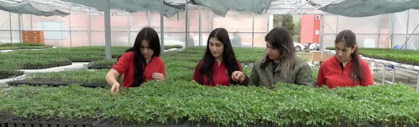 Liselilerin ellerinde dev üretim: Liseli öğrenciler yüzbinlercesini satışa hazırladı! - Resim: 4