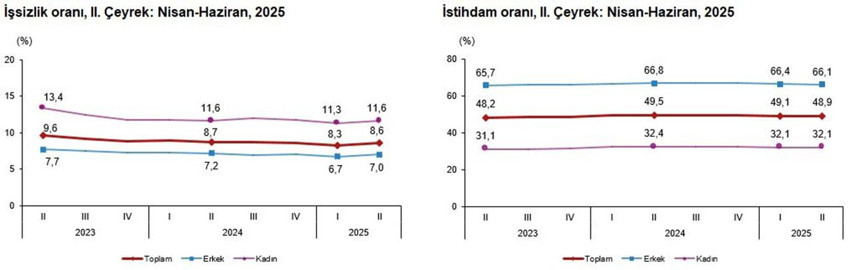 Türkiye'de işsizlik ikinci çeyrekte yüzde 8,6'ya yükseldi - Resim: 4