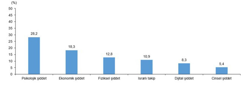 Türkiye Kadına Yönelik Şiddet Araştırması, 2024 - Resim: 1