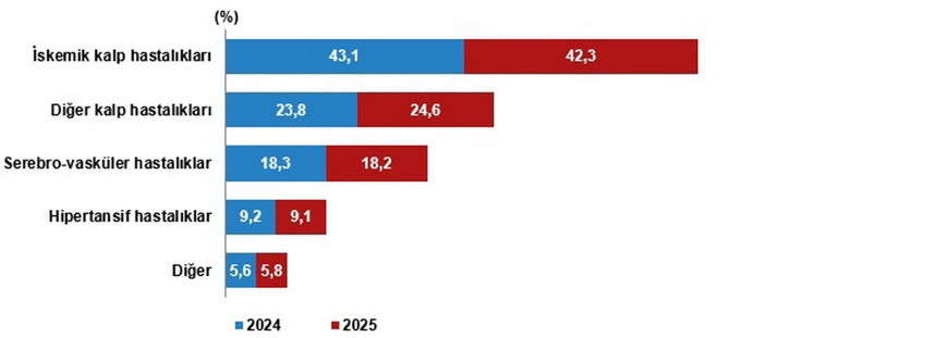 T&Uuml;İK'in a&ccedil;ıkladığı 2025 yılı &ouml;l&uuml;m ve &ouml;l&uuml;m nedenleri istatistiklerine g&ouml;re, T&uuml;rkiye'de &ouml;l&uuml;m sayısı 491 bin 684&rsquo;e y&uuml;kseldi. &Ouml;l&uuml;mlerin en yaygın nedeni %34,7 ile dolaşım sistemi hastalıkları olurken, bunu t&uuml;m&ouml;rler ve solunum sistemi hastalıkları izledi. Kaba &ouml;l&uuml;m hızının en y&uuml;ksek olduğu il Sinop, en d&uuml;ş&uuml;k olduğu il ise Şırnak olarak kayıtlara ge&ccedil;ti.