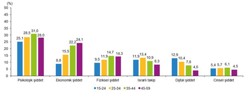 Türkiye Kadına Yönelik Şiddet Araştırması, 2024 - Resim: 2