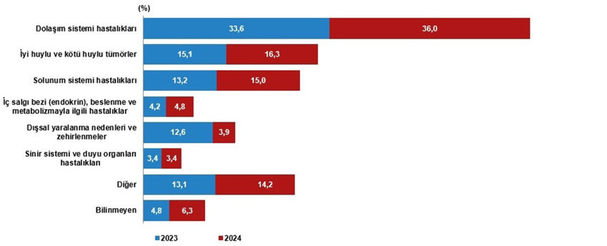 Türkiye'nin ölüm istatistikleri açıklandı; asrın felaketinde ölen kişi sayısı belli oldu - Resim: 4