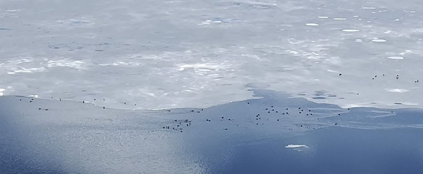 Türkiye'nin dev buz gölünde erime başladı; bu manzara görenleri büyüledi! - Resim: 2