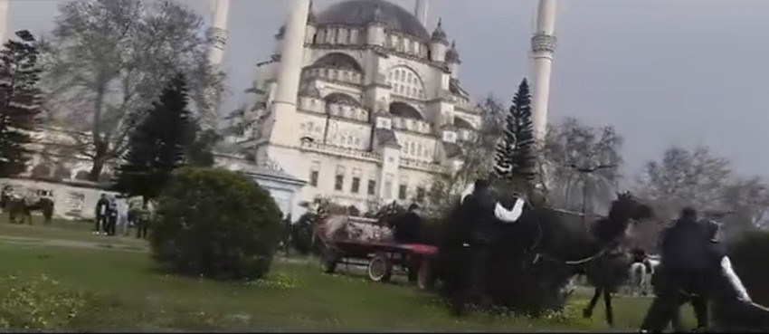 İnfial yaratan dehşet! Atını bayıltana kadar döven caniler hayvan barınağında çalışacak! - Resim: 2