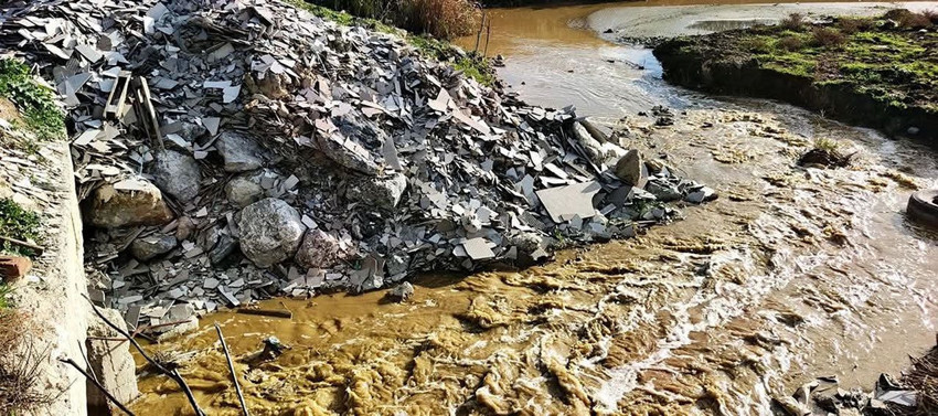 Cehenneme dönen cennette kahreden manzara: Hepsi oksijen için suyun üstüne çıktı - Resim: 2