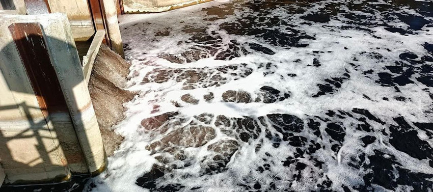 Cehenneme dönen cennette kahreden manzara: Hepsi oksijen için suyun üstüne çıktı - Resim: 3