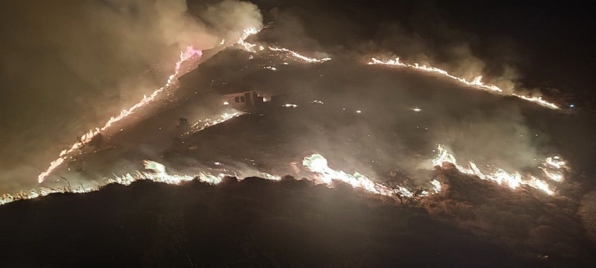 Marmara Adası'nda orman yangını çıktı - Resim: 4