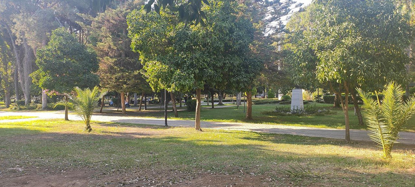 Herkes üşürken onlar yanıyor: Termometreler 33 dereceyi gösterdi - Resim: 3