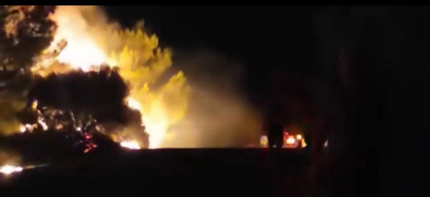 İzmir Urla'da orman yangını - Resim: 1