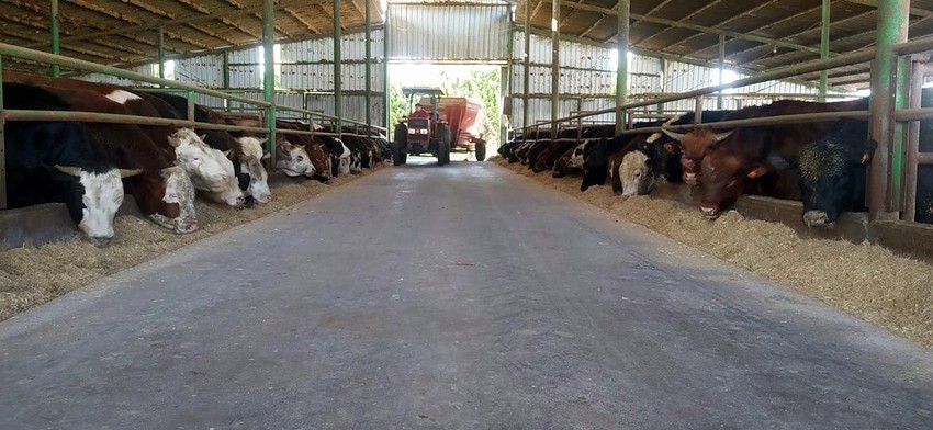 Kurbanlık fiyatları belli oldu - Resim: 1
