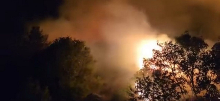 İzmir Urla'da orman yangını - Resim: 2