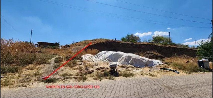 Narin cinayetinde yeni gelişme: Diyarbakır Barosu reddetti - Resim: 2