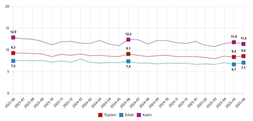 Türkiye'nin işsizlik rakamları açıklandı: İşsizlik rakamları alarm veriyor! - Resim: 2