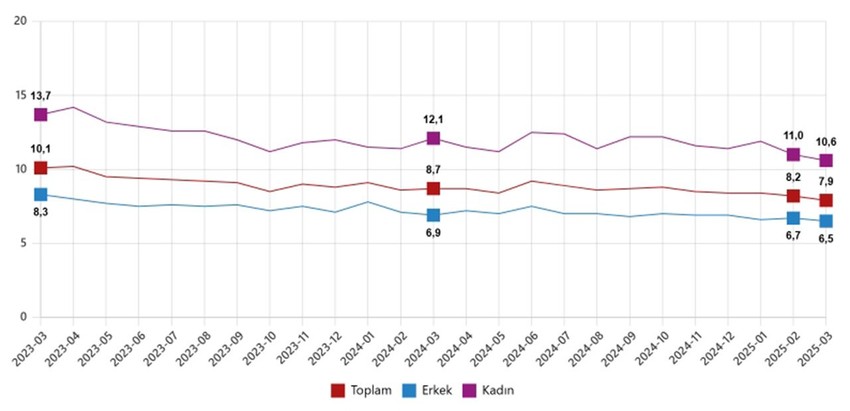 TÜİK Mart 2025 işsizlik rakamlarını açıklandı - Resim: 2
