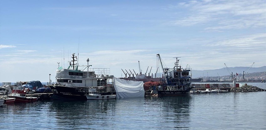 Balıkçılar ağ değil, dert çektiler... Marmara'da av sezonu kapandı - Resim: 3