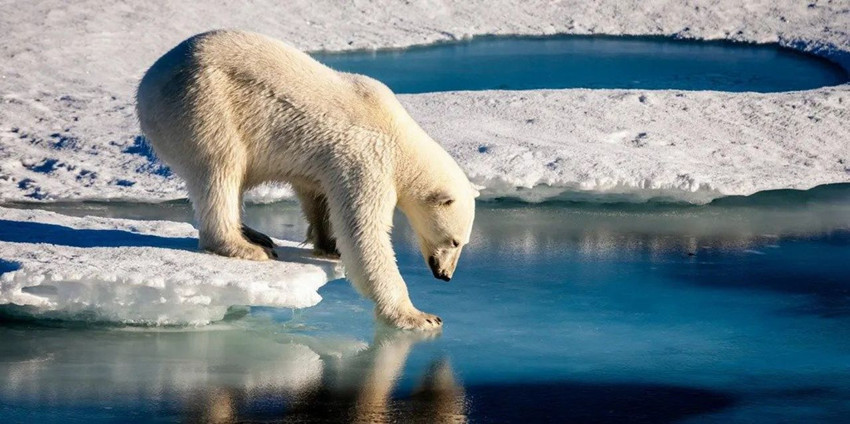 Dünya'nın difrizi çözüldü: ''Son Buz Bölgesi''nde bilim dünyasının korktuğu başımıza geliyor - Resim: 2