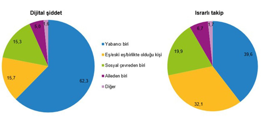 Türkiye Kadına Yönelik Şiddet Araştırması, 2024 - Resim: 4