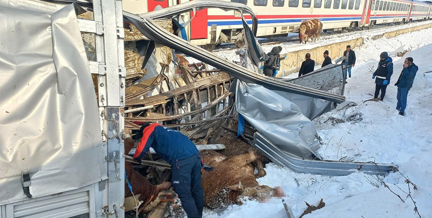 Yolcu treni, hayvan yüklü tıra çarptı: Ölü ve yaralılar var - Resim: 2