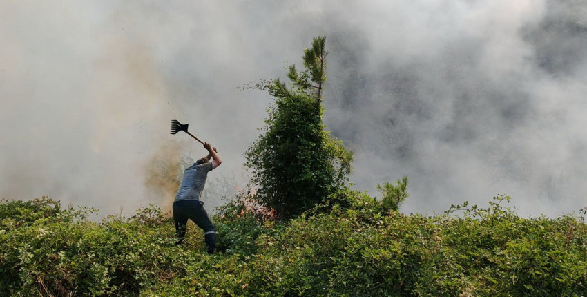 Bolu'da orman yangını - Resim: 3
