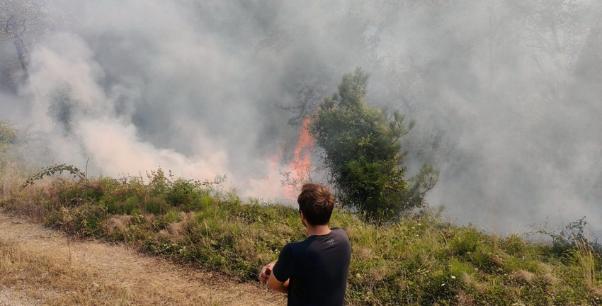 Bolu'da orman yangını - Resim: 4