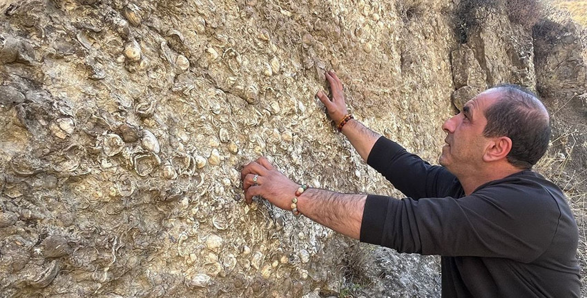 Denizi olmayan Erzurum'da 200 milyon yıllık deniz fosilleri bulundu - Resim: 3