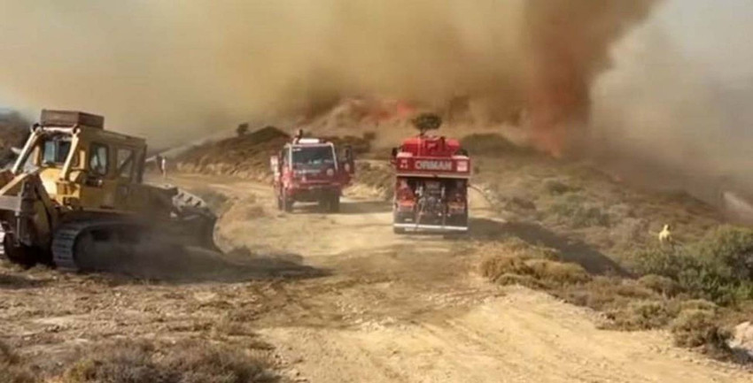Ateş çemberi büyüyor... İzmir'de bir orman yangını daha çıktı - Resim: 3