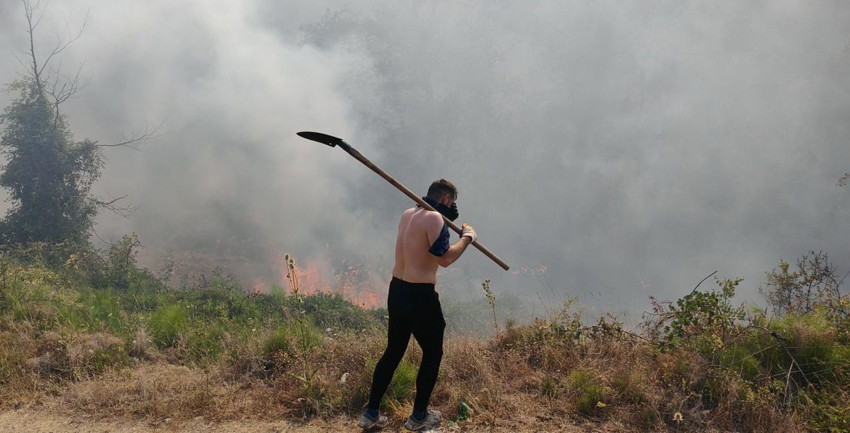 Bolu'da orman yangını - Resim: 1