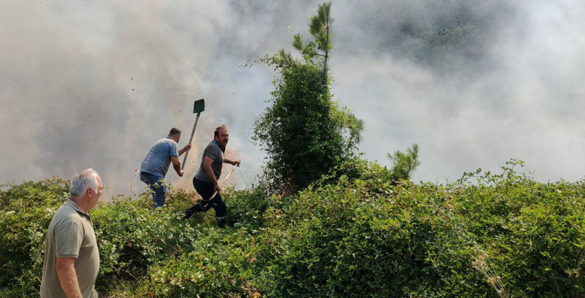 Bolu'da orman yangını - Resim: 2
