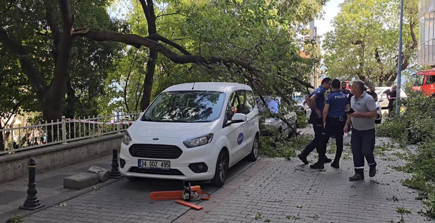 İstanbul'da otomobillerin üzerine ağaç devrildi - Resim: 4