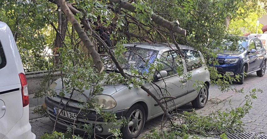 İstanbul'da otomobillerin üzerine ağaç devrildi - Resim: 3