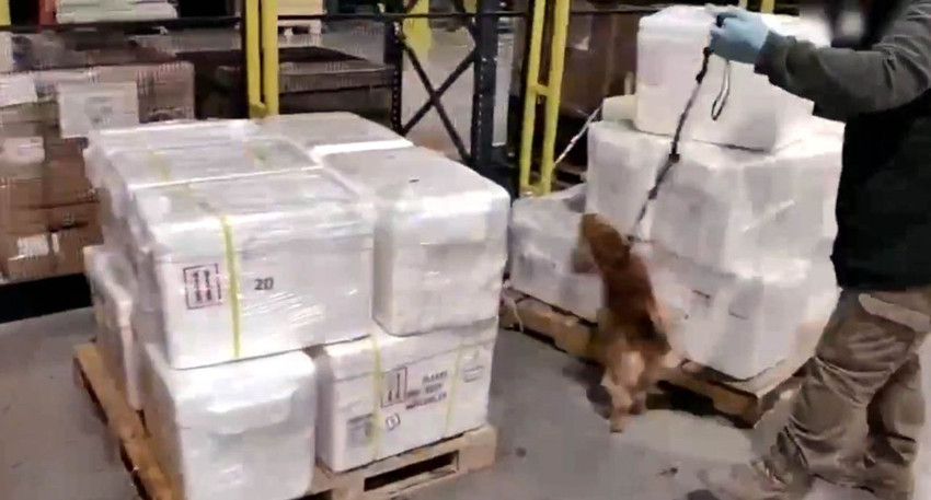 İstanbul Havalimanı'nda yarım tona yakın kokain ele geçirildi - Resim: 3